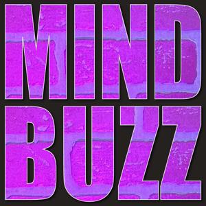 The Mindbuzz by Mindbuzz Media