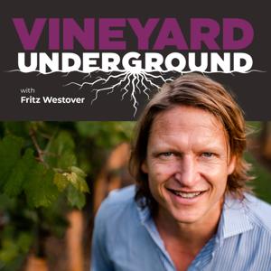 Vineyard Underground by Fritz Westover