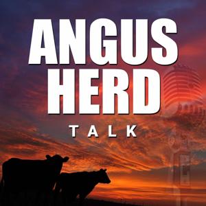 Angus Herd Talk by David