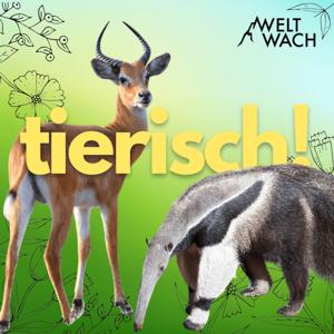 Tierisch! – Entdeckungsreise in die wilde Welt der Tiere by Weltwach / Dr. Frauke Fischer & Lydia Möcklinghoff