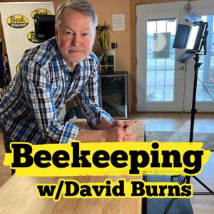 Mysteries of Honey Bees by David Burns
