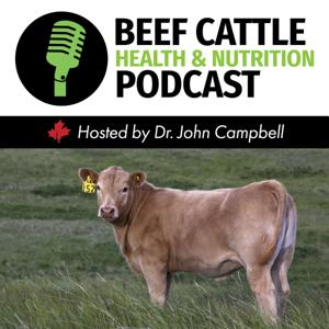 The Beef Cattle Health and Nutrition Podcast by Dr. John Campbell