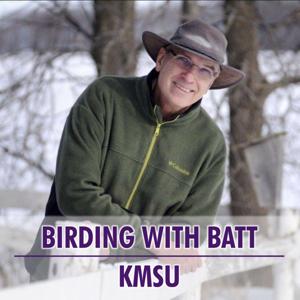 KMSU Birding With Batt by KMSU