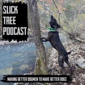 Slick Tree Podcast by Klankford87
