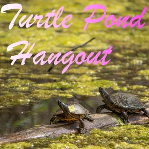 TURTLE POND HANGOUT by Corbin and John