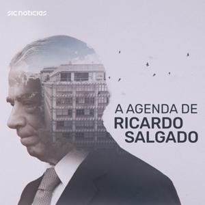 A Agenda de Ricardo Salgado by Pedro Coelho