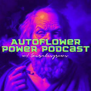 Autoflower Power by socratesgrows