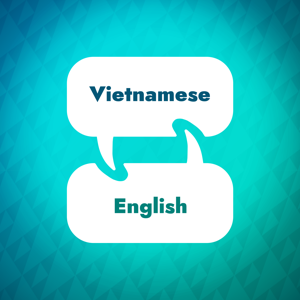 Vietnamese Learning Accelerator by Language Learning Accelerator