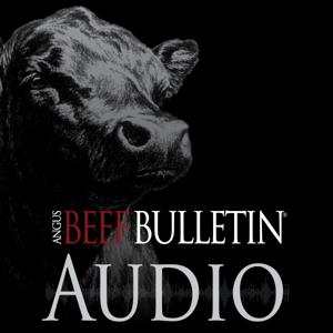 Angus Beef Bulletin Audio
