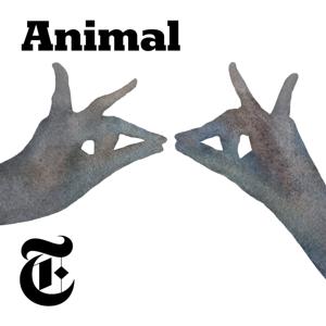 Animal by The New York Times
