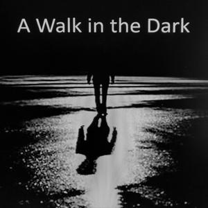 A Walk In The Dark by Written and Directed by Bob Berry; Hosted by Roy Hedin; Theme Music by Brian Lee Wheat; Produced at Village Recording Studio, Indianapolis, Indiana