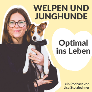 Optimal ins Leben! Welpen und Junghunde by Lisa Stolzlechner, MSc