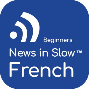 French for Beginners by Linguistica 360