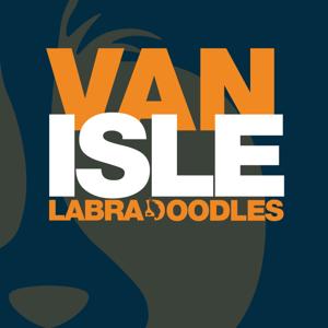 Van Isle Labradoodles