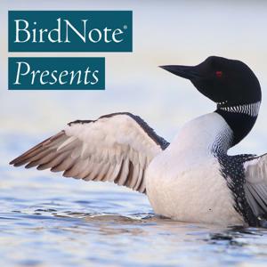 BirdNote Presents by BirdNote