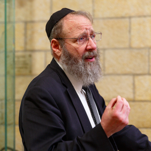 Rabbi Aaron Lopiansky's Shiurim - Moreh Nevuchim