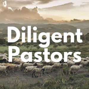 Diligent Pastors