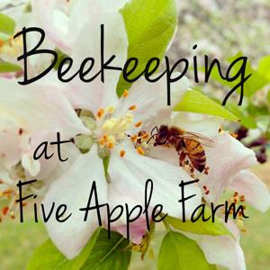 Beekeeping at FiveApple by Leigh at FiveApple