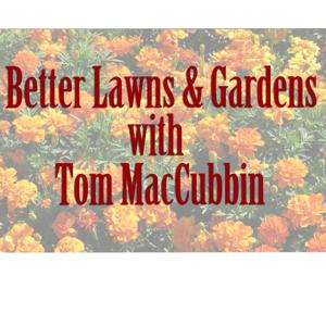Better Lawns & Gardens with Teresa Watkins