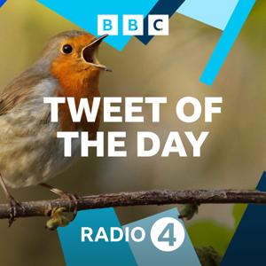 Tweet of the Day by BBC Radio 4