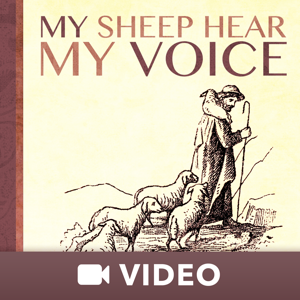 My Sheep Hear My Voice (Video) by Keith Moore