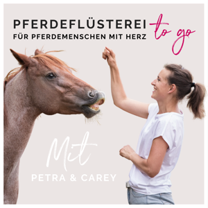 Pferdeflüsterei TO GO! Für Pferdemenschen mit Herz by Petra Haubner