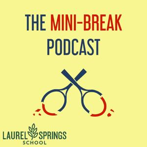 The Mini-Break [Tennis Podcast] by Cracked Racquets/Tennis Channel Podcast Network