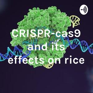 CRISPR-cas9 and its effects on rice