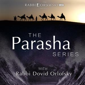 The Parasha Series