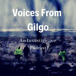 Voices From Gilgo by Robert Ottone