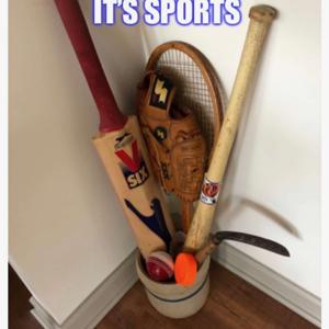 Holy Crap It's Sports by Pete Davis