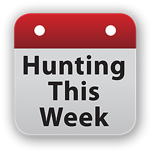 Hunting This Week