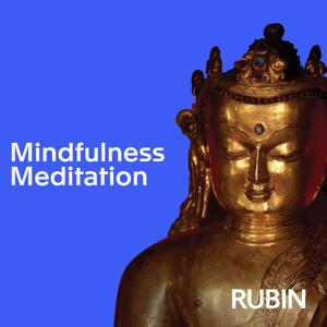 Mindfulness Meditation Podcast