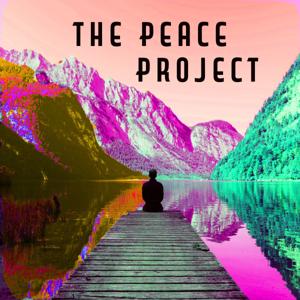 The Peace Project | Meditations for inner peace and a healthier world by Dave Winnyk