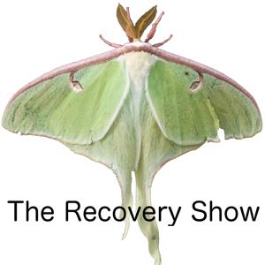 The Recovery Show » Finding serenity through 12 step recovery in Al-Anon – a podcast by The Recovery Show
