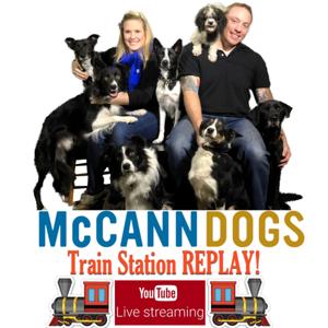 McCann Dog Training - Train Station Replay by Ken Steepe