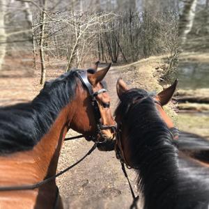 Alice & Saga fattar Galopp by fattagalopp
