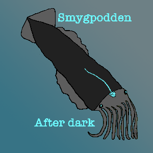 Smygpodden After dark
