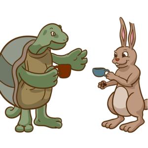 “The Tortoise and the Hare”