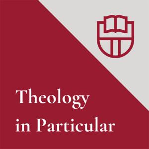 Theology in Particular by IRBS
