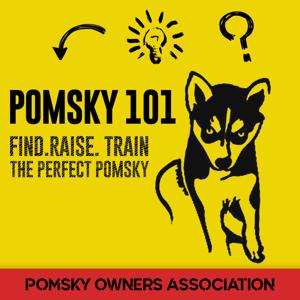 Pomsky 101 - Find. Train. Raise The Perfect Pomeranian Husky Dog.