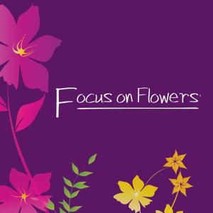 Focus on Flowers by Indiana Public Media
