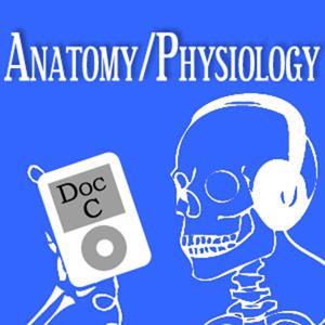 Biology 2110-2120: Anatomy and Physiology with Doc C by Dr. Gerald Cizadlo