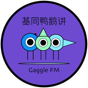 基同鸭鹅讲GaggleFM