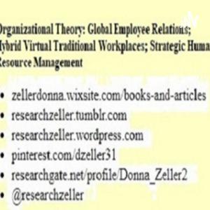Hybrid (Virtual / Traditional) Workplace; Global Employee Relations; Human Resource Management