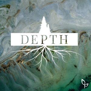 The Depth Podcast