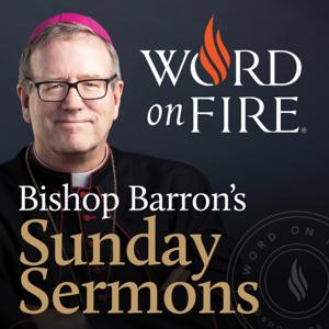 Bishop Robert Barron’s Sermons - Catholic Preaching and Homilies by Bishop Robert Barron