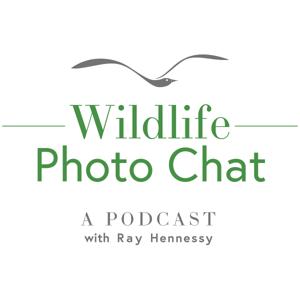 Wildlife Photo Chat by Ray Hennessy