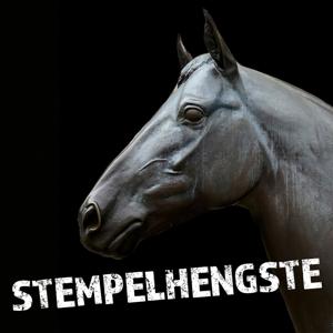 Stempelhengste by reitsport MAGAZIN Podcast