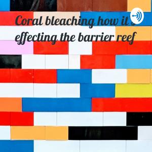 Coral bleaching how it’s effecting the barrier reef